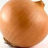Onion: Yellow