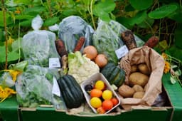 Image of Big Veg Box