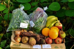 Image of Mixed Small Box