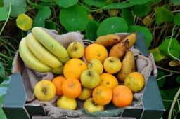 Image of Just Fruit