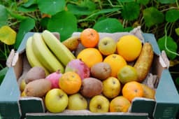 Image of More Fruit