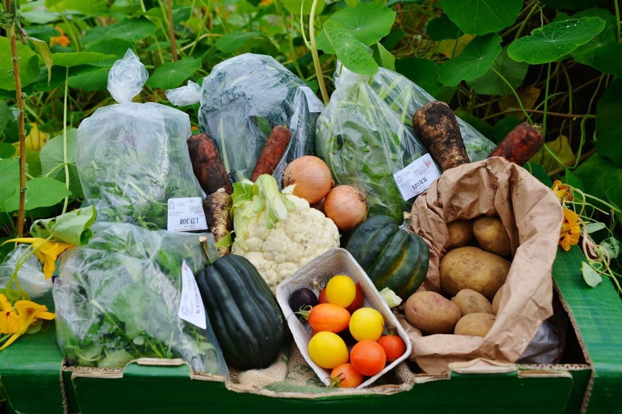 Veg Boxes & Salad