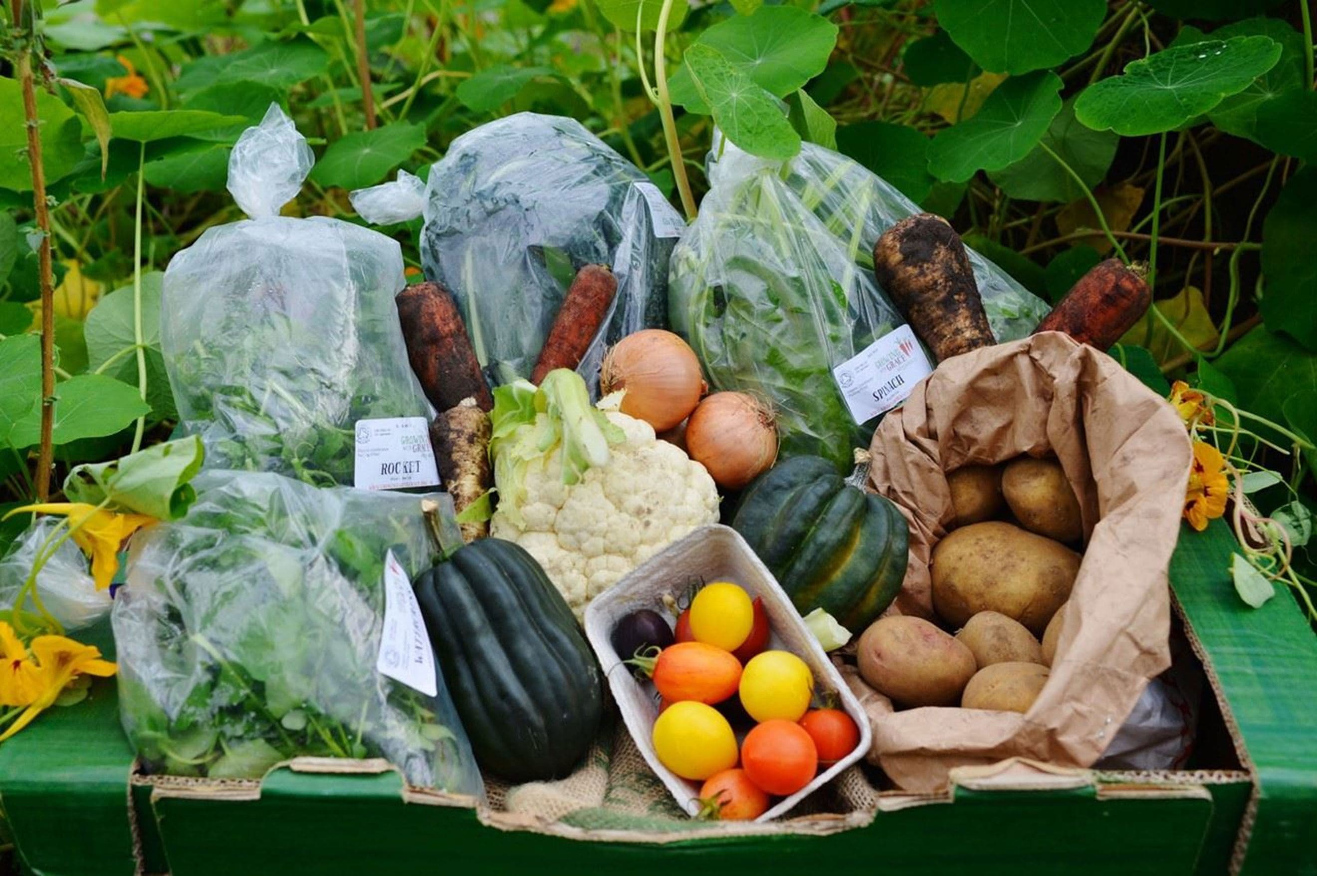 Veg Boxes & Salad