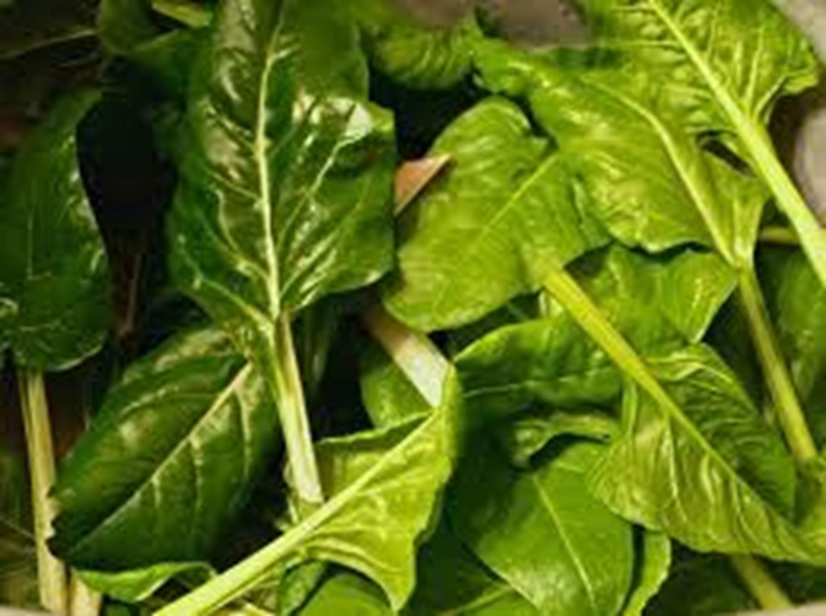 Spinach 250g (Own Grown)