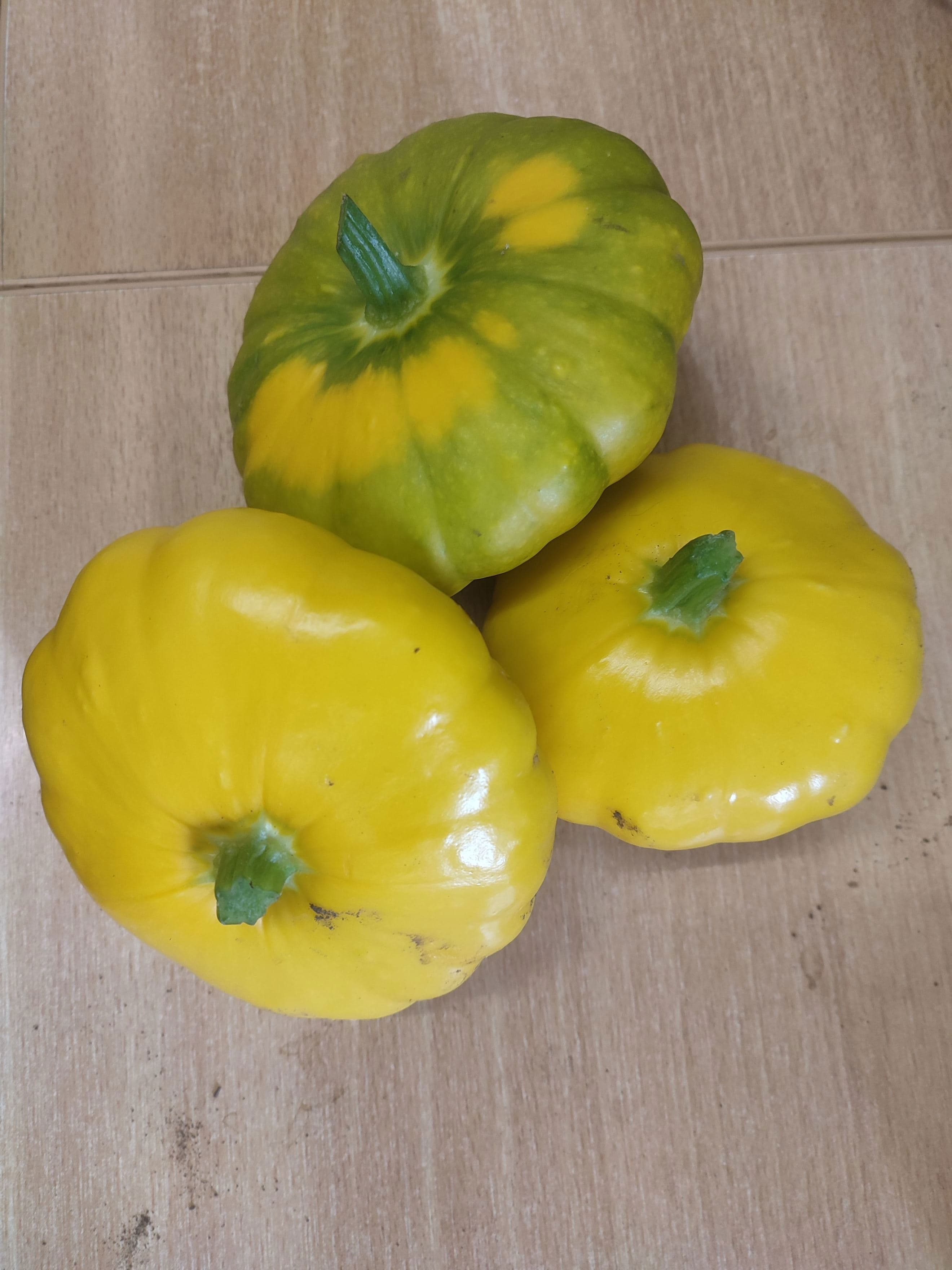 Patty Pan Squash (own grown)