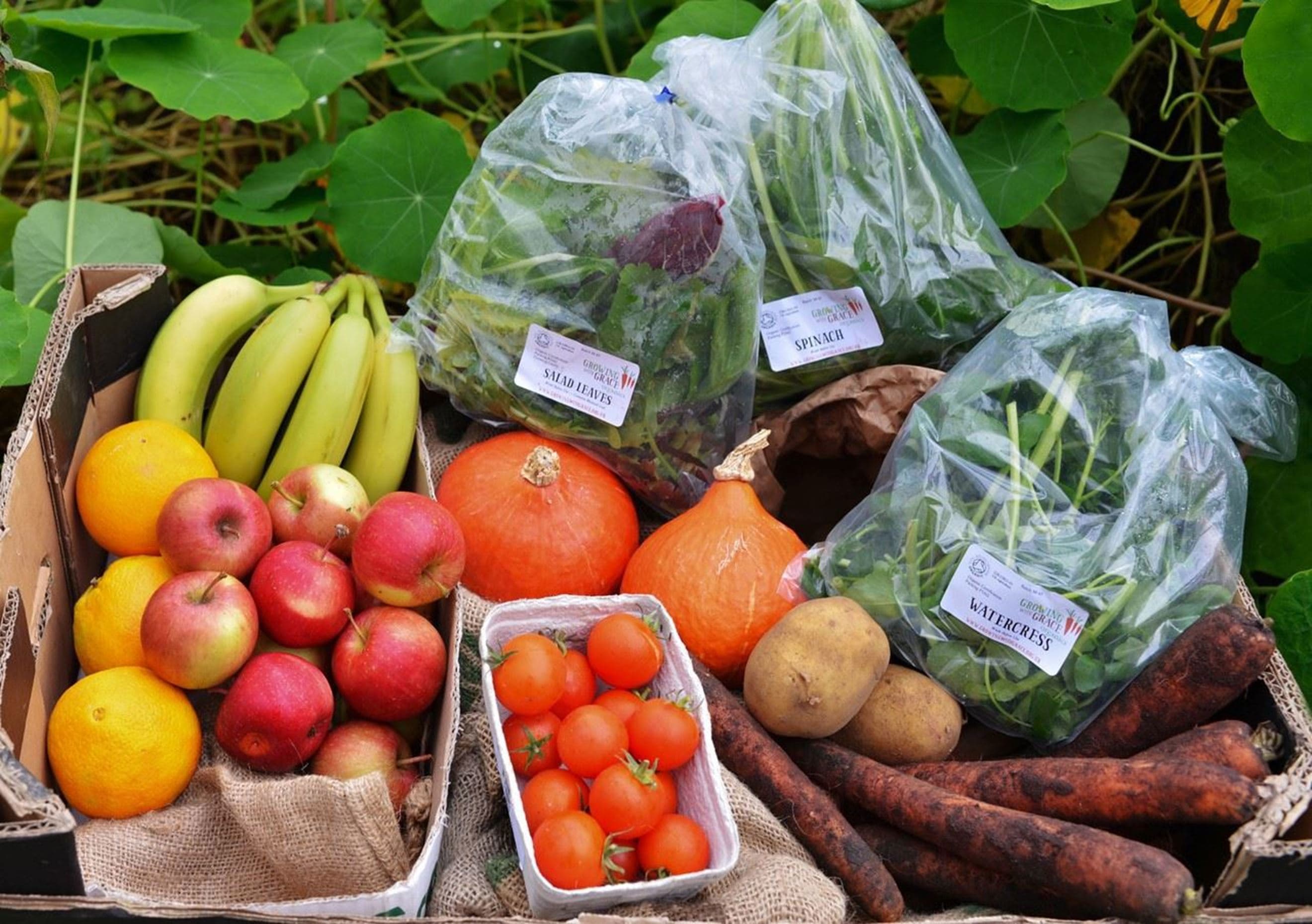 Mixed Boxes and Fruit