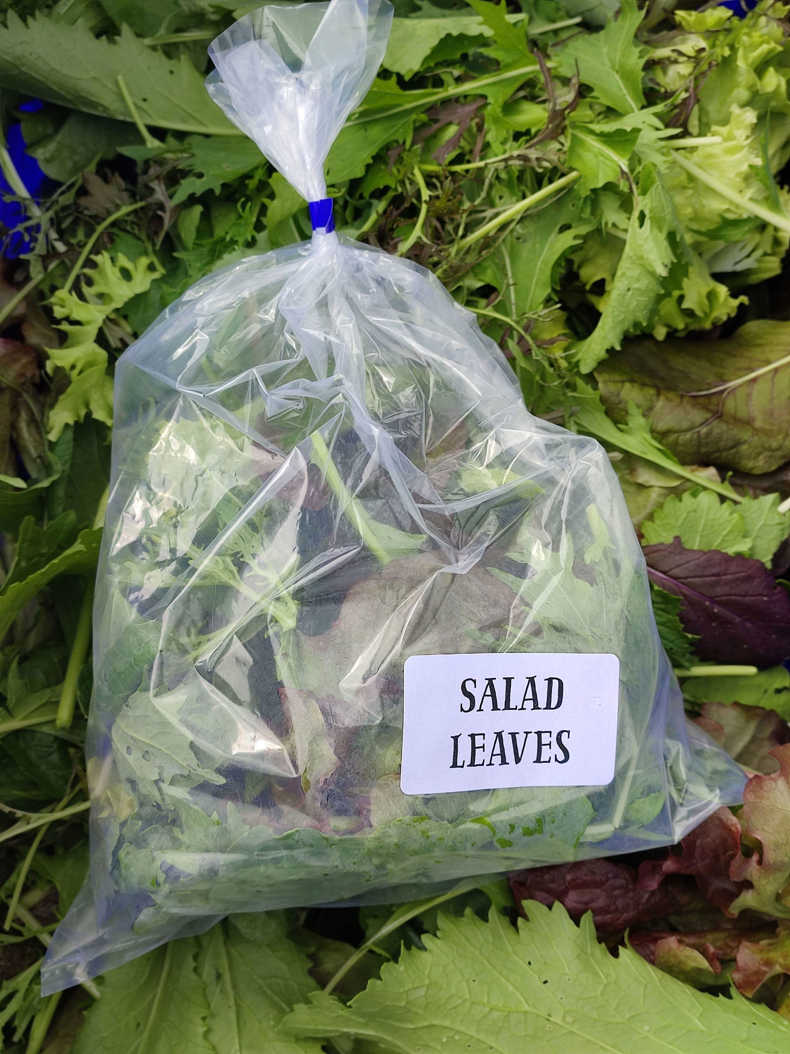 Mixed Salad Leaves 100g (Own Grown)